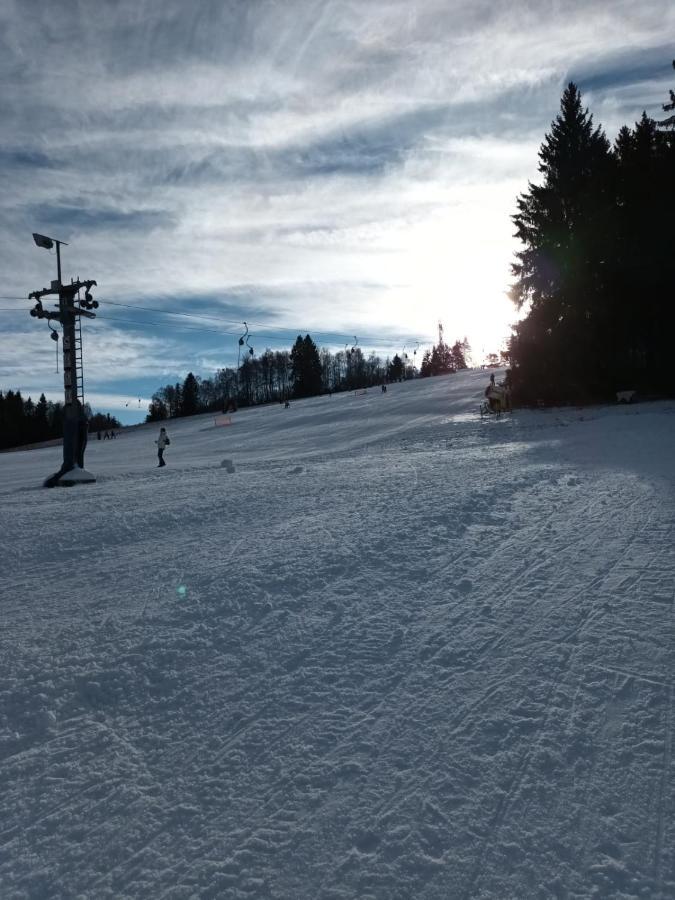Hortenzie *