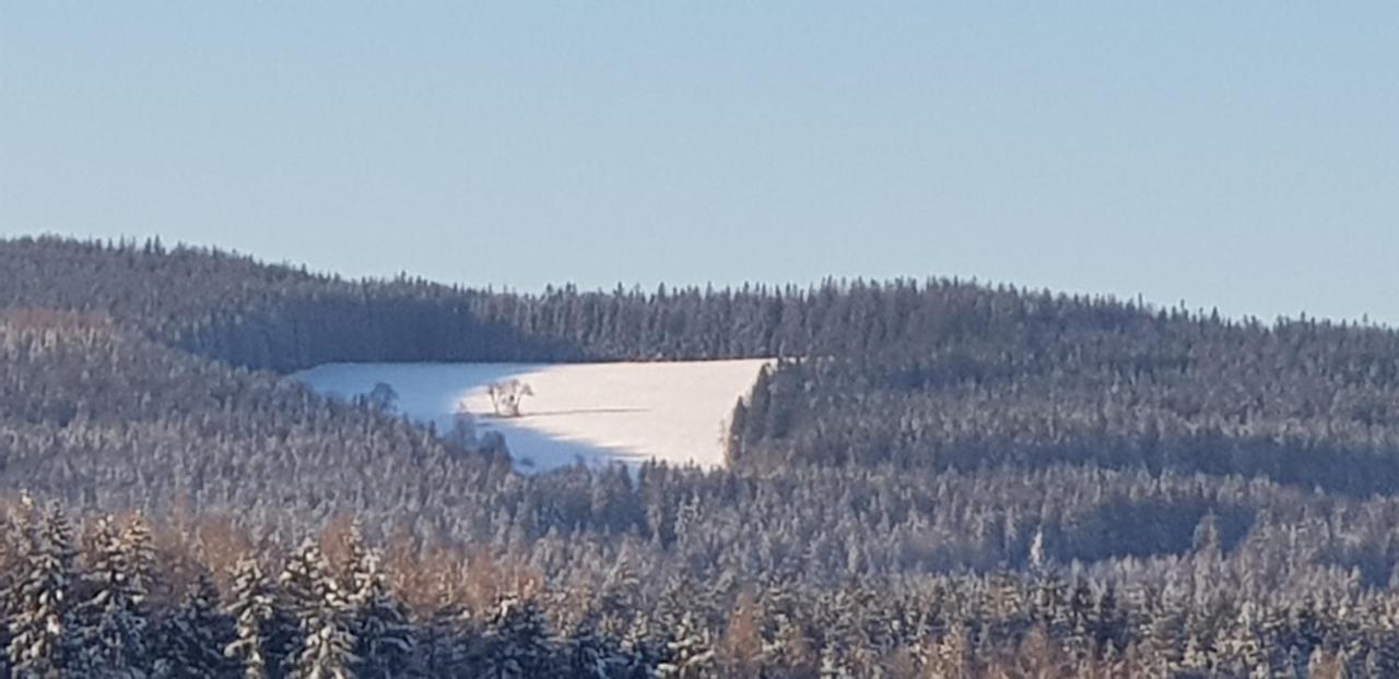 Apartmán Hortenzie Kasperske Hory