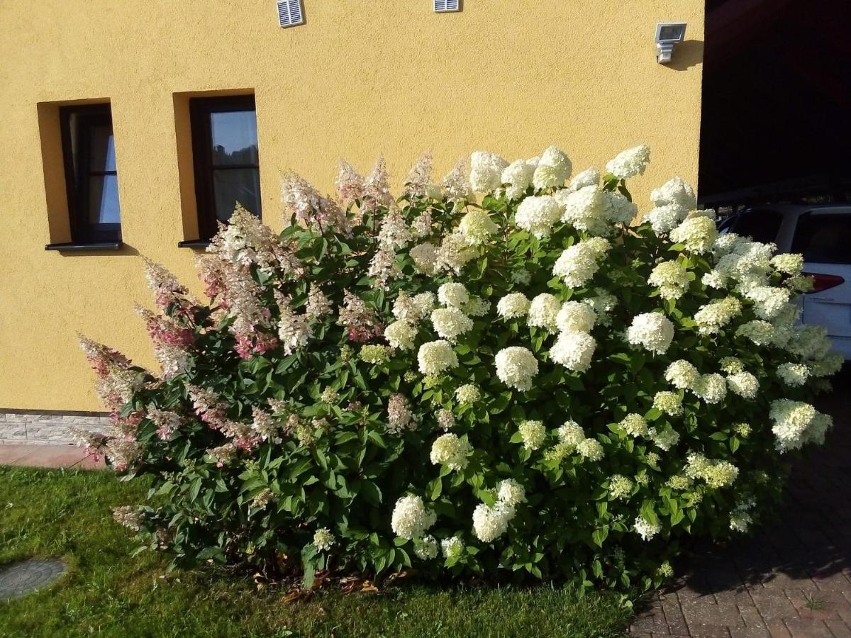 Apartmán Hortenzie Kasperske Hory