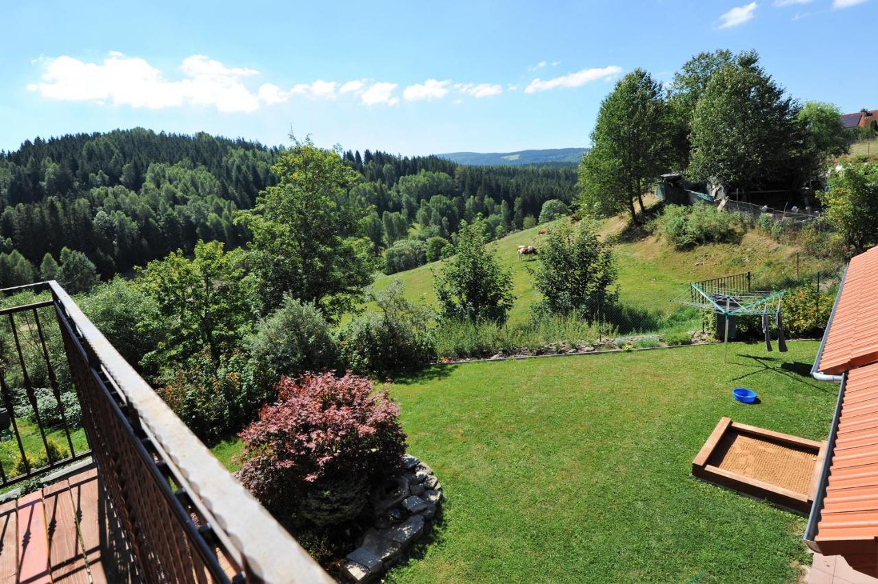 Hortenzie Apartment Kasperske Hory
